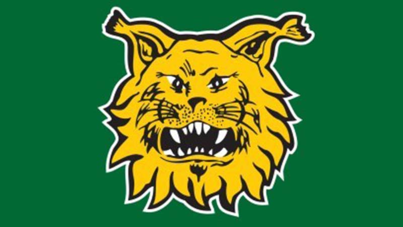 ilves