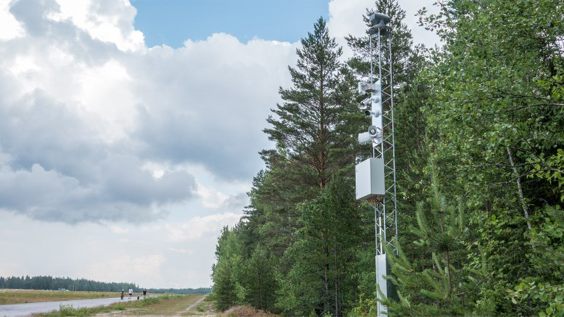 Masto metsän ja tien varrella