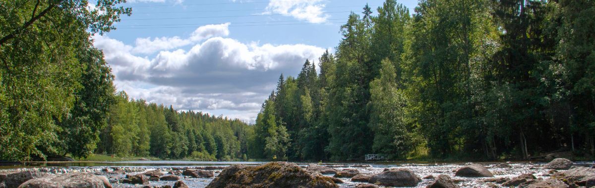 Vastuullisuus ilmastovaikutuksissa, metsä ja jokimaisema alhaalta kuvattuna.